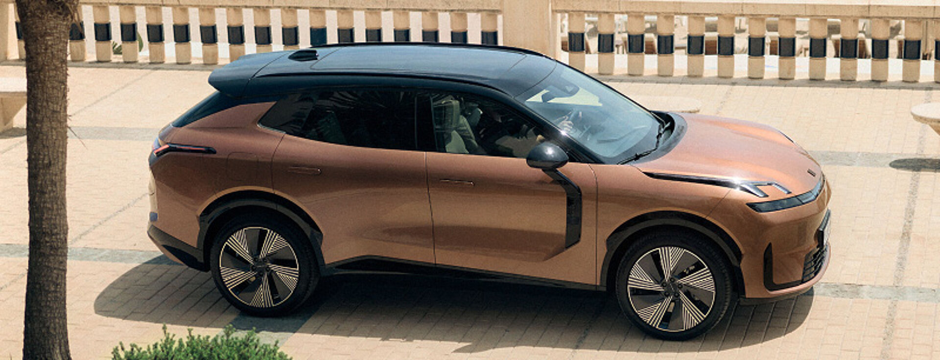 08 high teaser 43 vanroosmalen