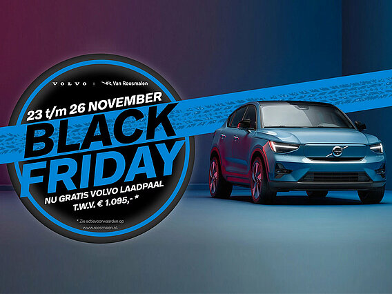 BlackFridayElectricDays website